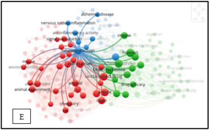 many keywords are related to animal experiment 4E